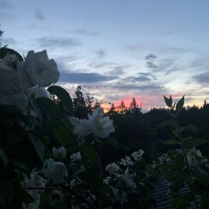 Meet your Posher, Jayden